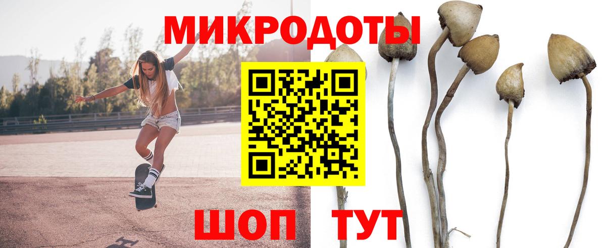 Гагарин  Псилоцибиновые грибы Cubensis  Вход с VPN  Галлюциногенные грибы Cubensis 